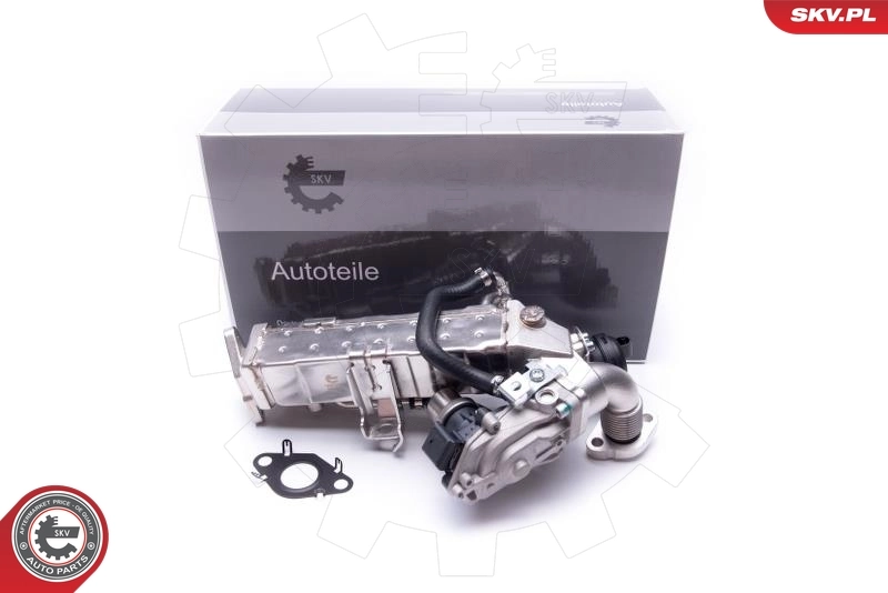 EGR Valve